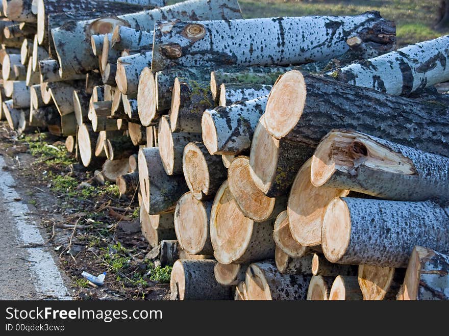 A bunch of logs near a road. A bunch of logs near a road