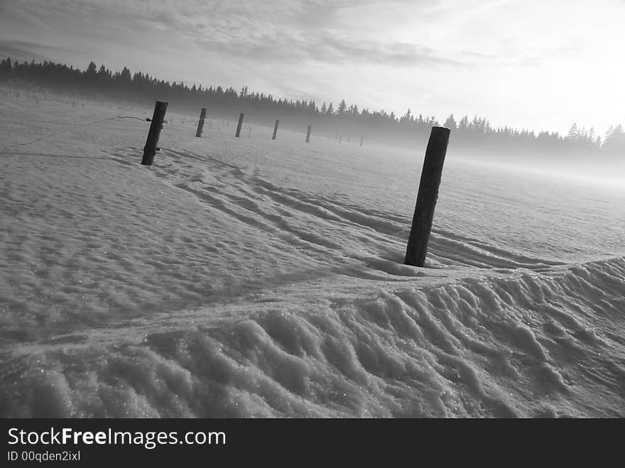 Field in winter