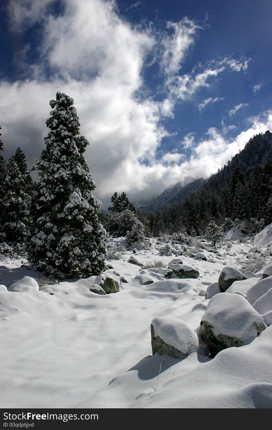 Winter in the mountains