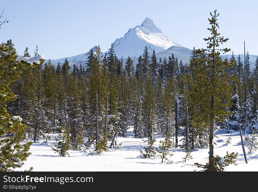 Three Fingered Jack