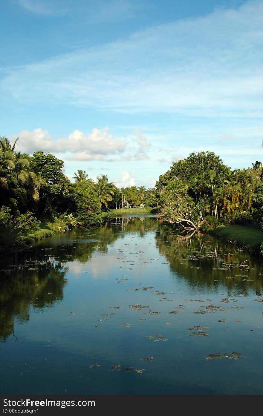 Scenic Residential Canal in Miami