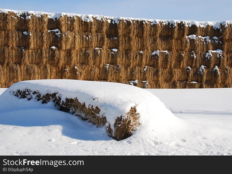 A lone hay bale lies in front of a wall of hay bales.  Left out from the group. A lone hay bale lies in front of a wall of hay bales.  Left out from the group.