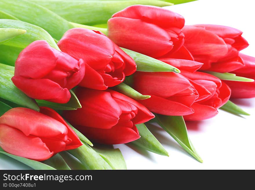 Bunch of red tulips