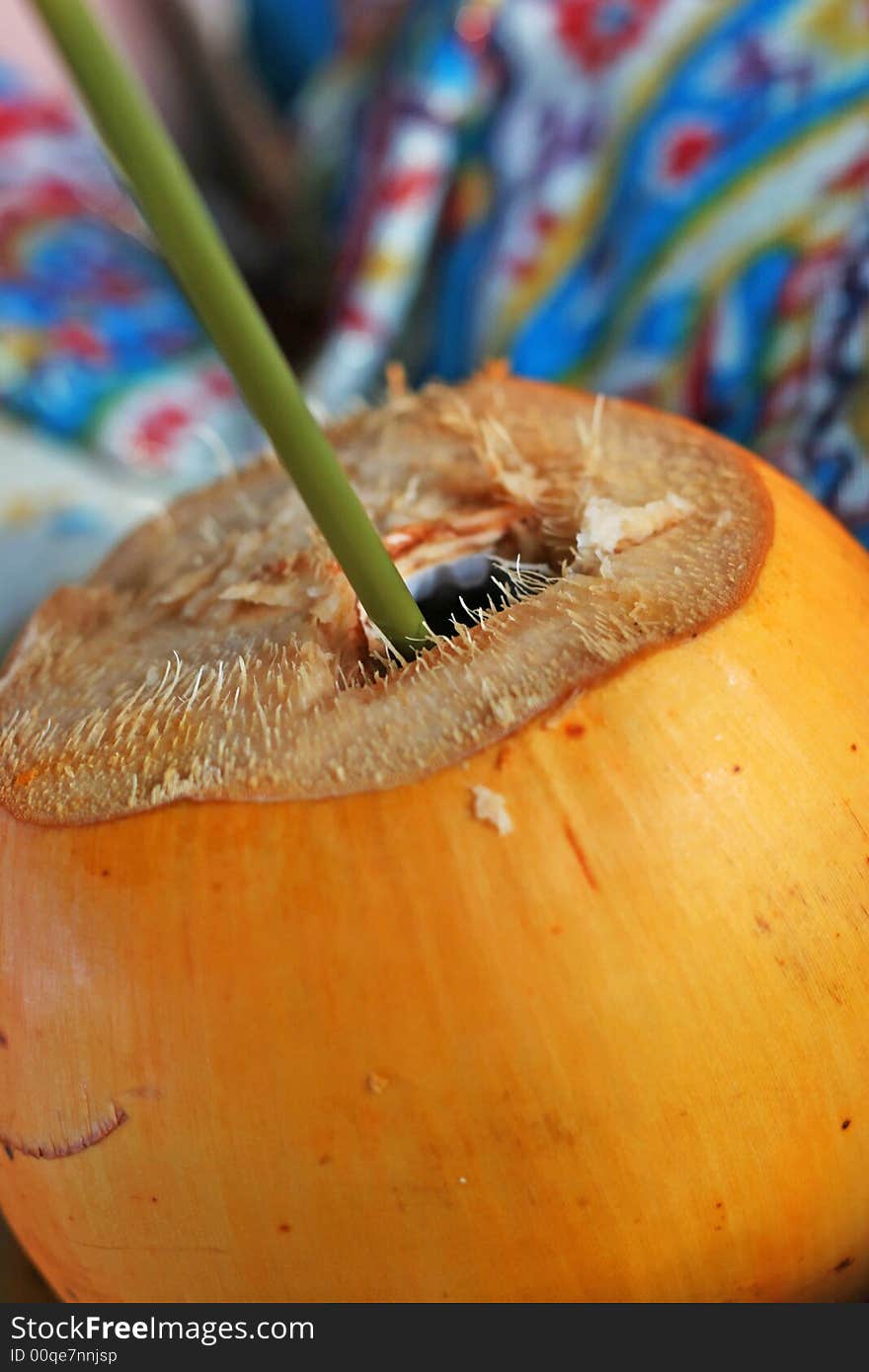 Coconut still-life isolated