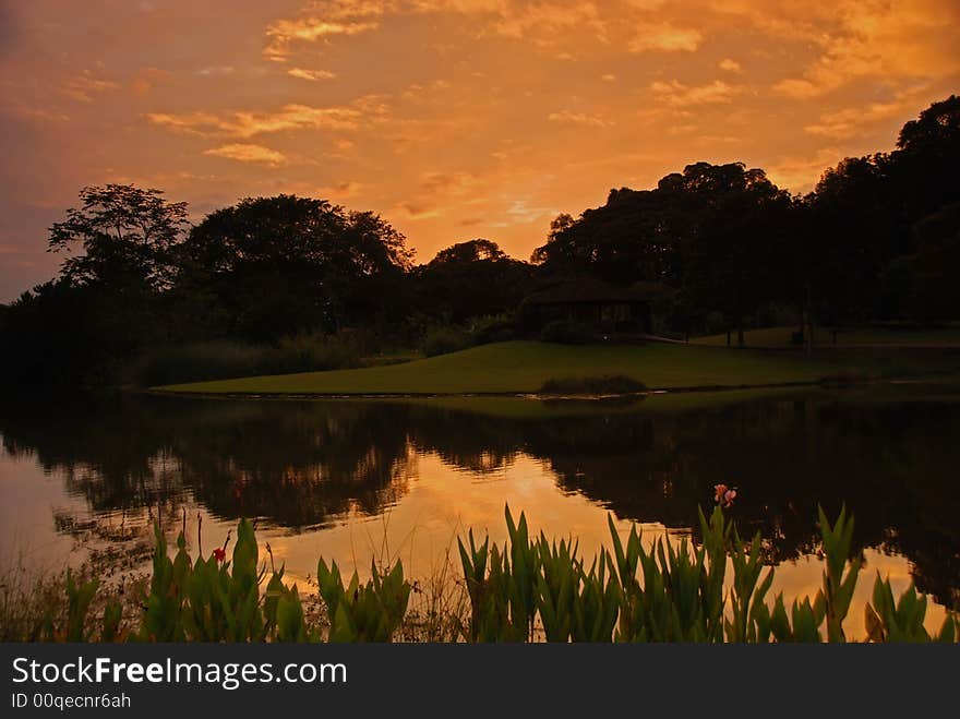 Lake, tree and sunrise in the park