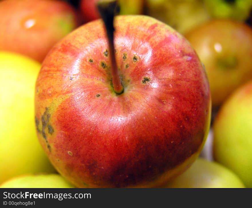 A photo of red and yellow little mini apple. Lies on many others. A photo of red and yellow little mini apple. Lies on many others.