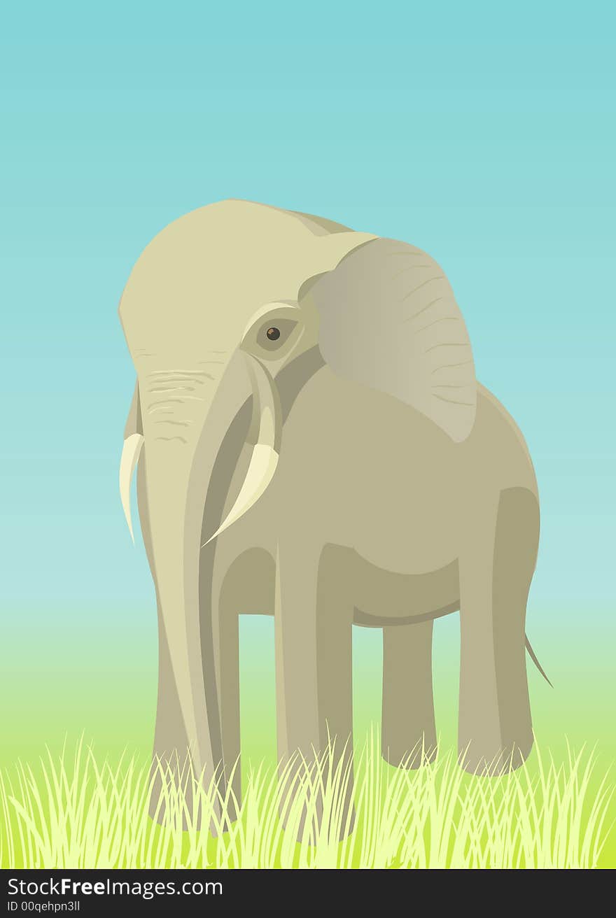 Elephant