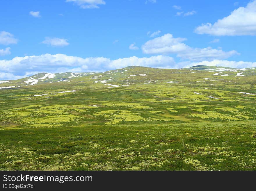 Mountain valley with yellow and green grass