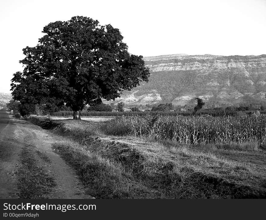 Classic Satara Landscape