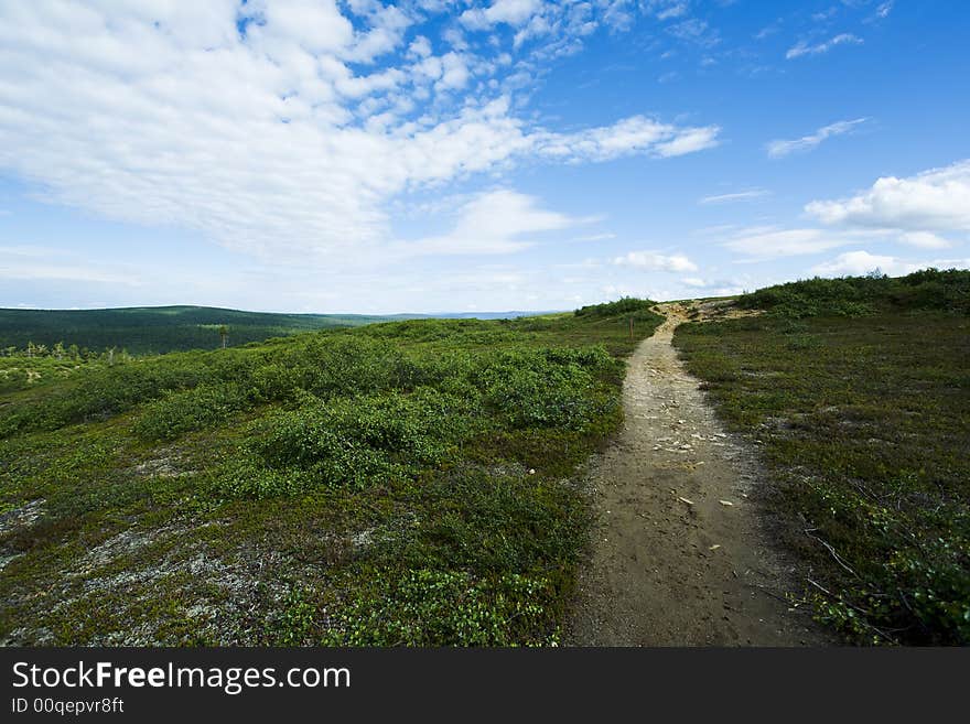 Natural reserve landscape from north of finland