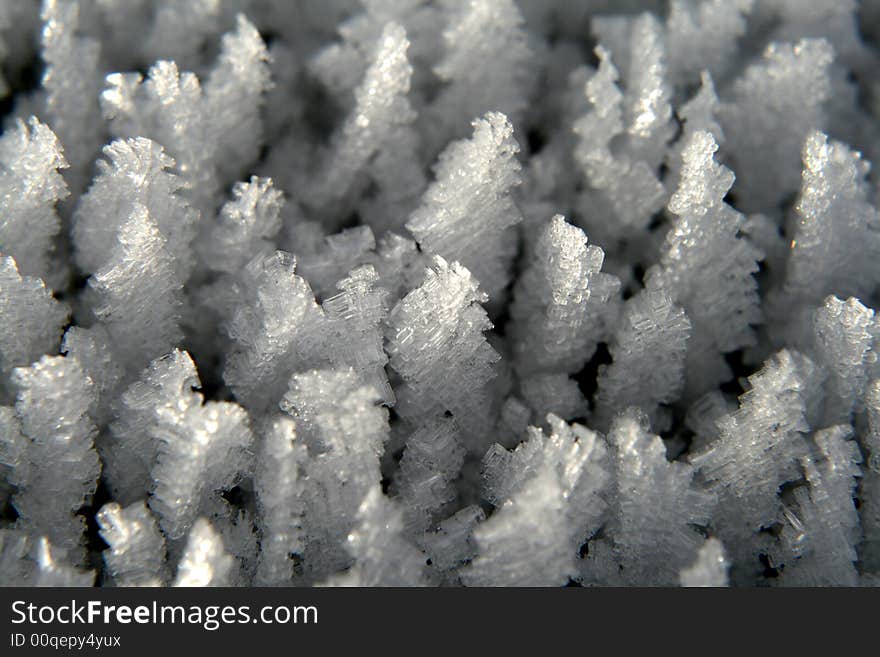 Ice crystals in the snow