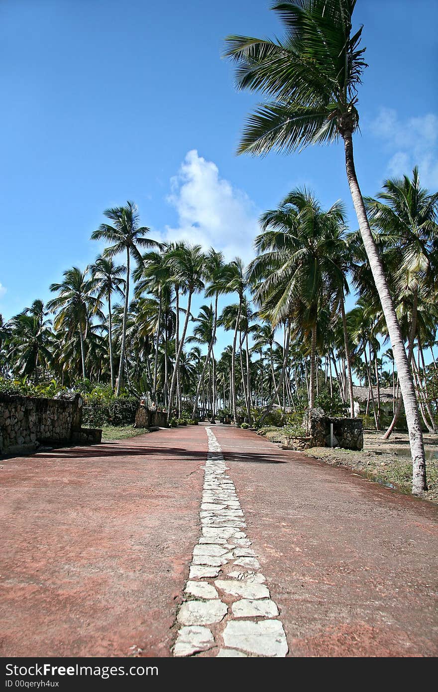 Hot Summer Day In Dominican Republic. Hot Summer Day In Dominican Republic