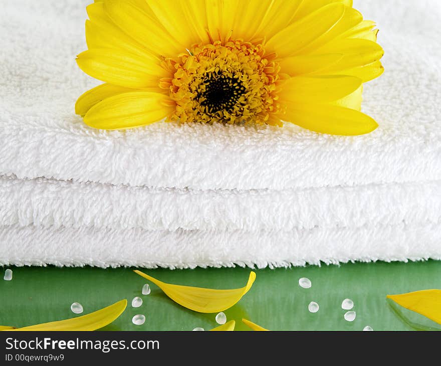 White towel close up with yellow flower and petals on green background. White towel close up with yellow flower and petals on green background