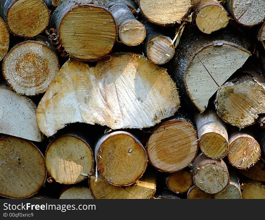 Pile of fire wood close up, Lunenburg County Nova Scotia Canada