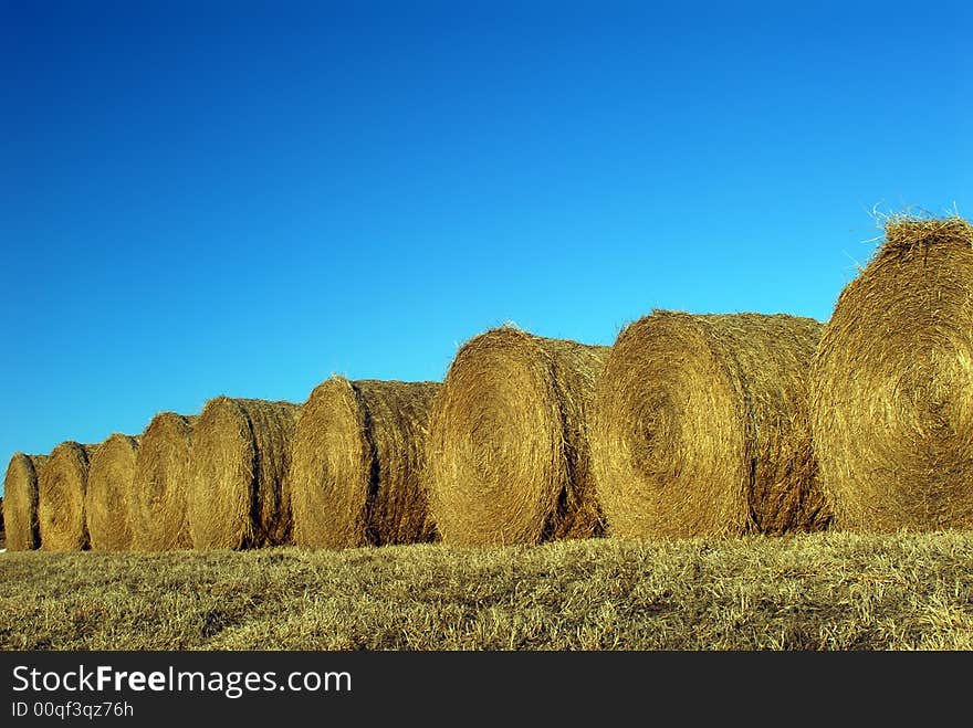 Round bales of hay and blue sky