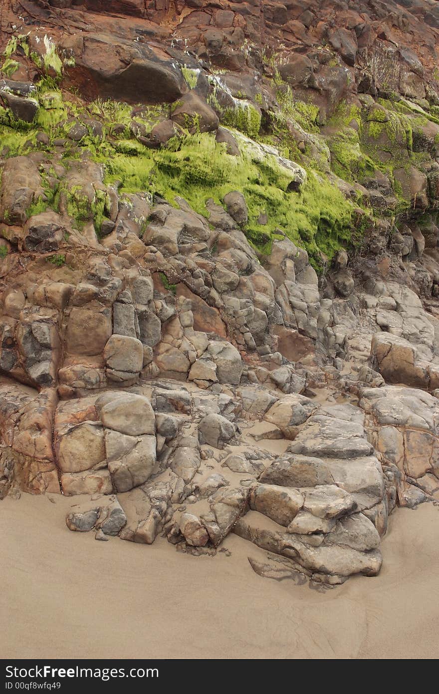 Colorful coastal rock of Cape Lookout State Park