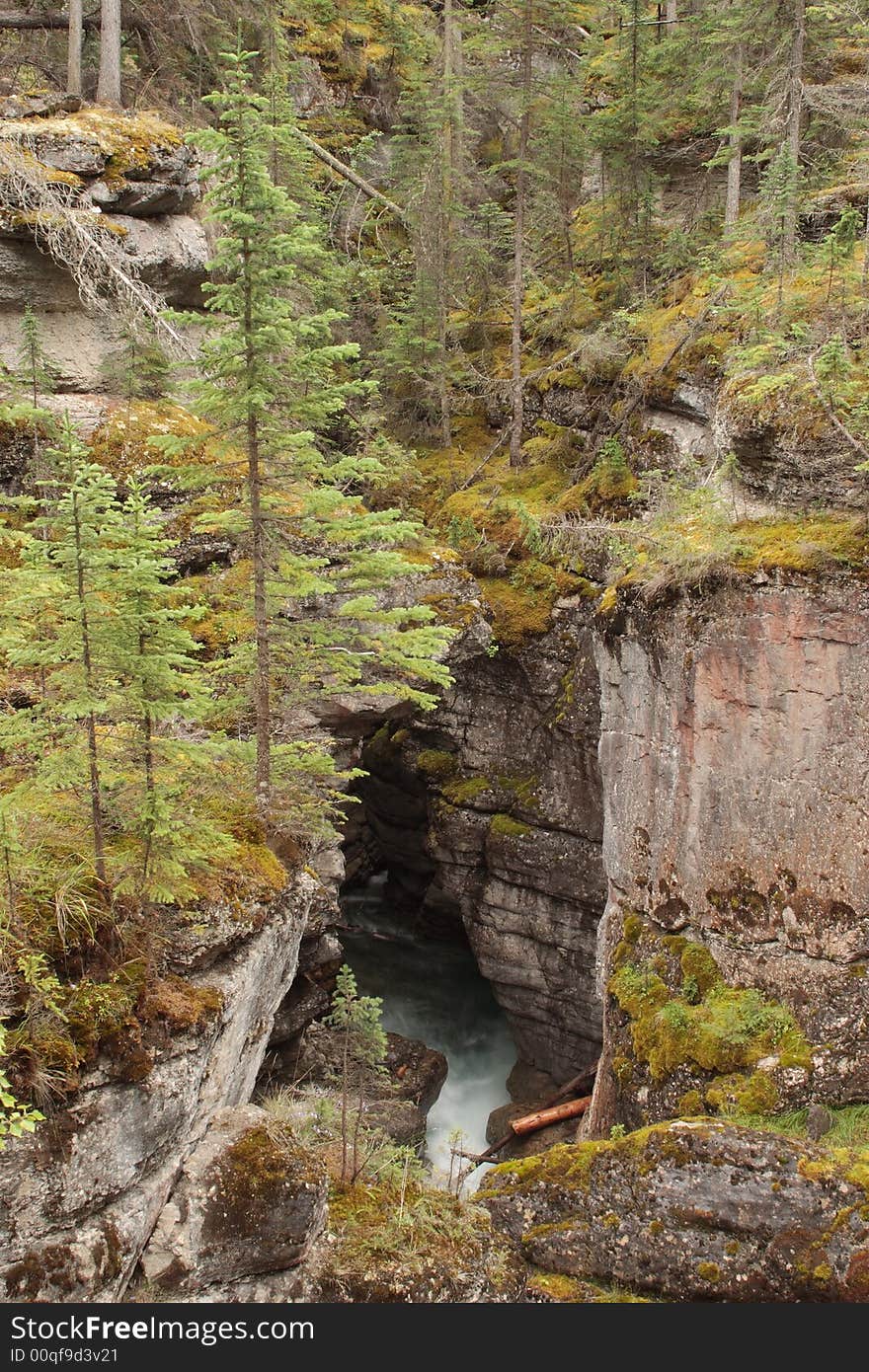 Maligne Canyon