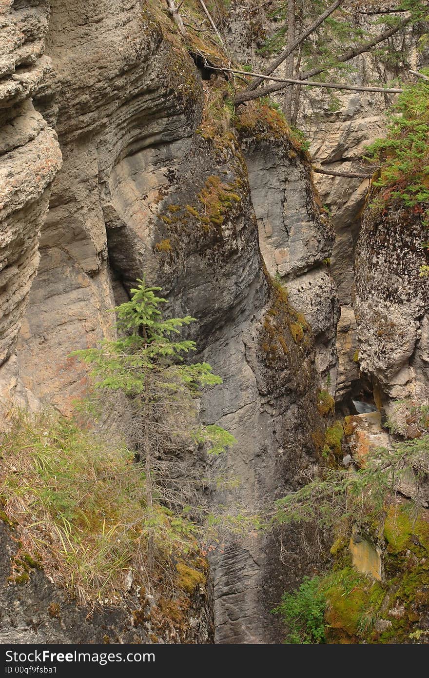 Maligne Canyon