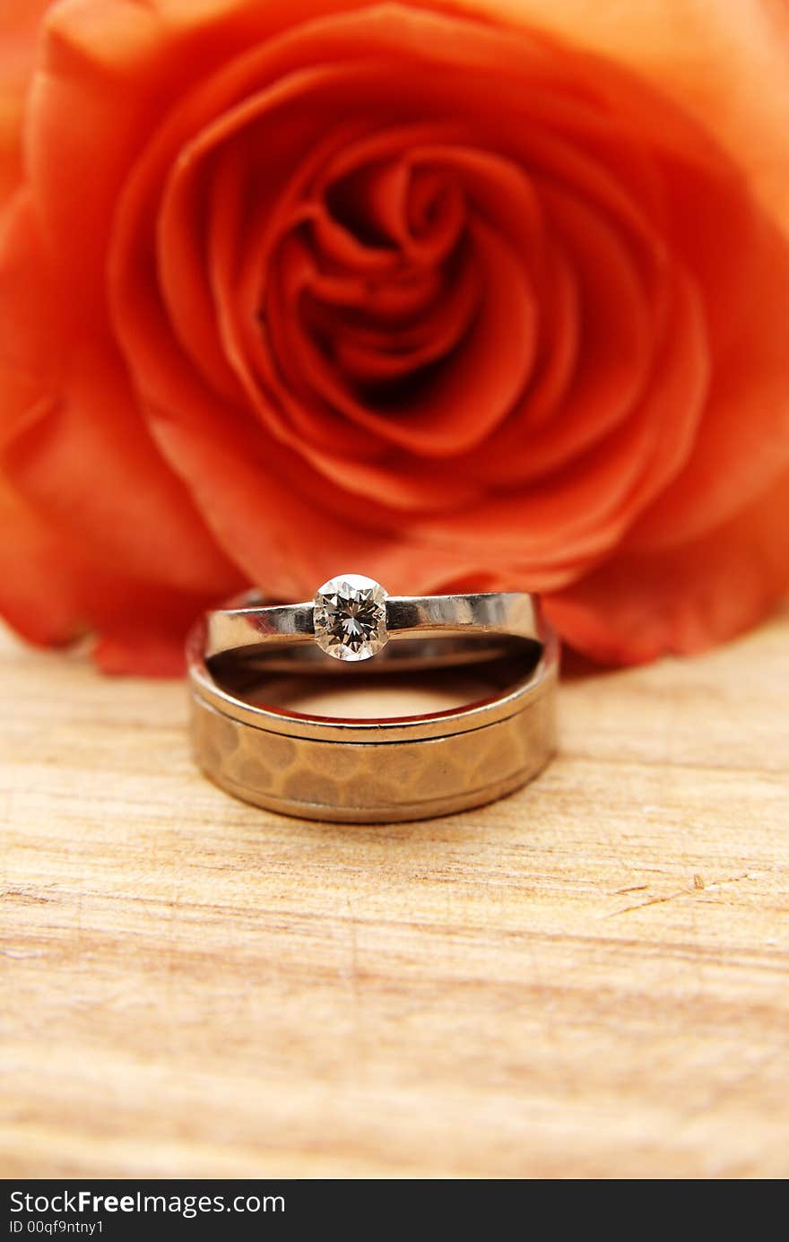 Wedding rings with orange rose in the background. Wedding rings with orange rose in the background