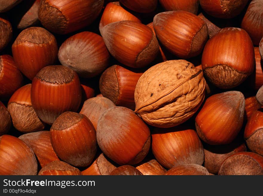 A walnut among many hazelnuts, suitable as a background. A walnut among many hazelnuts, suitable as a background.