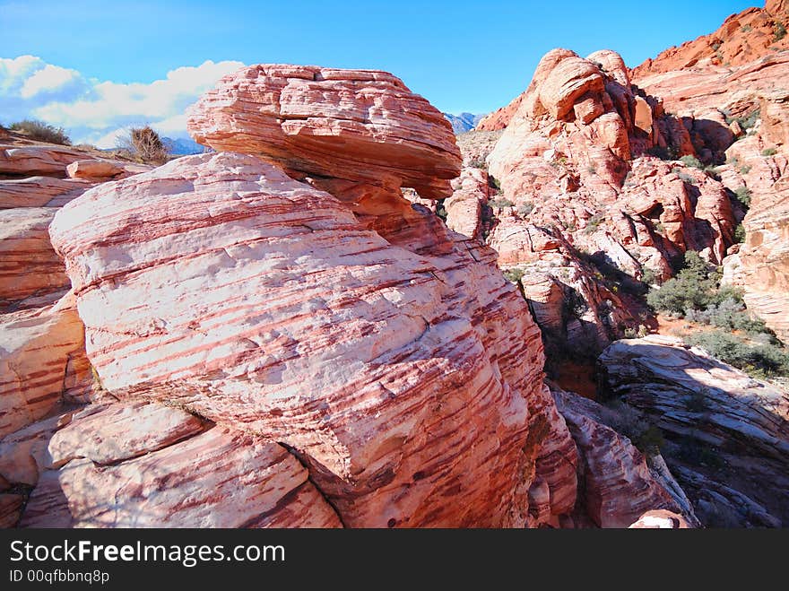 Huge bee hives shapes Red Rock