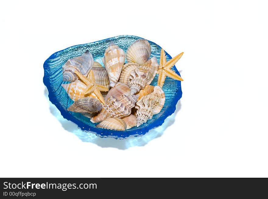 Exotic shells collection - scallops, clams, starfishs  in the blue bowl. White background. Exotic shells collection - scallops, clams, starfishs  in the blue bowl. White background.