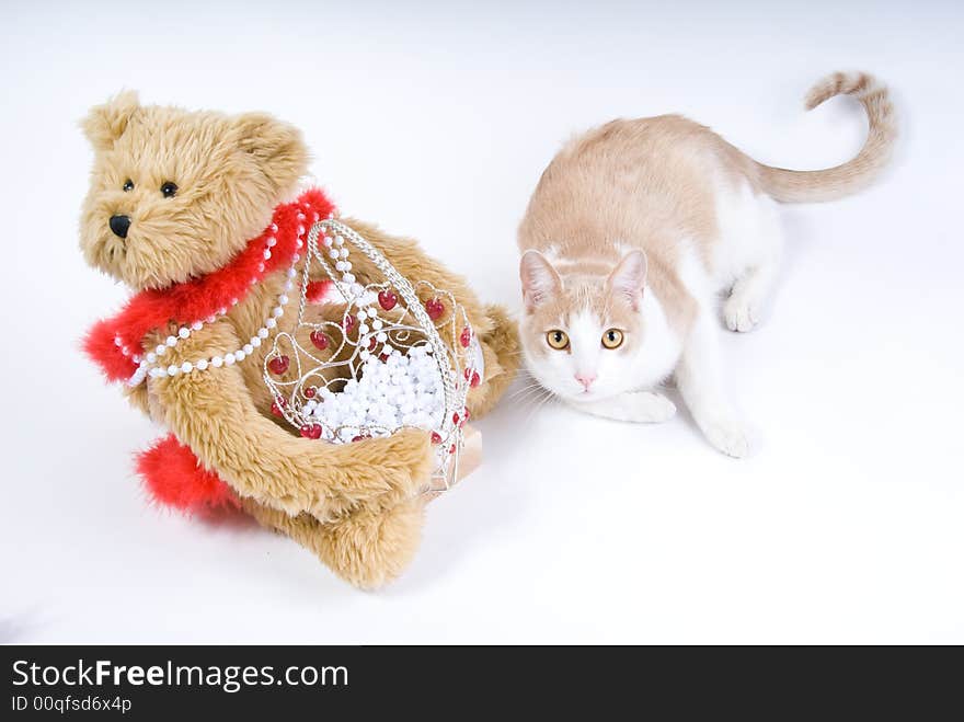 Teddy bear with valentine decorative basket with white beads and tabby cat. Teddy bear with valentine decorative basket with white beads and tabby cat