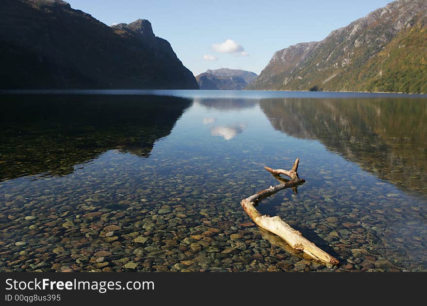 Frafjord landscape with a tree branch