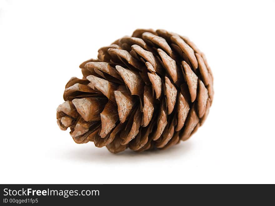 Brown cone on a white background