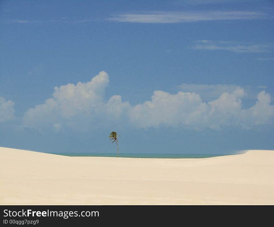 Landscape of Tatajuba Beach - Brazil. Landscape of Tatajuba Beach - Brazil