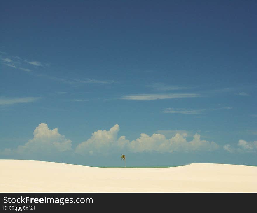 Landscape of Tatajuba Beach - Brazil. Landscape of Tatajuba Beach - Brazil