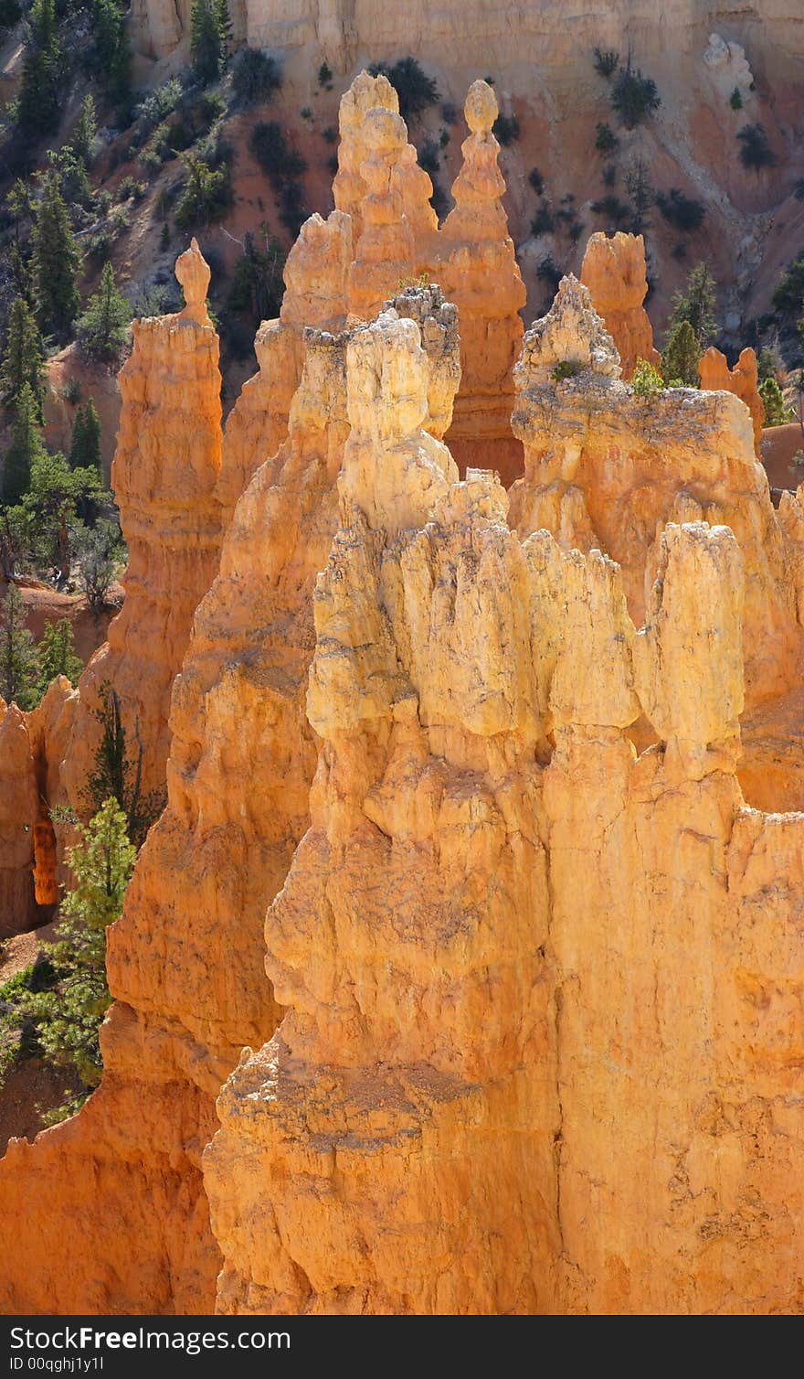 Dawn on Bryce Canyon