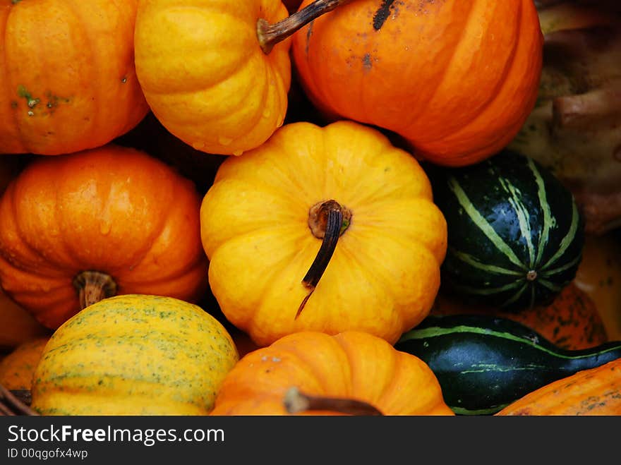 Autumn display of gourds and miniature pumpkins at a local farmers market. Autumn display of gourds and miniature pumpkins at a local farmers market