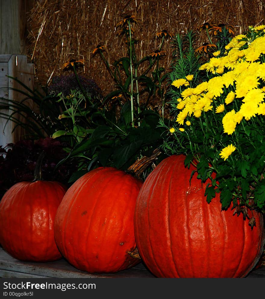 Autumn Arrangement