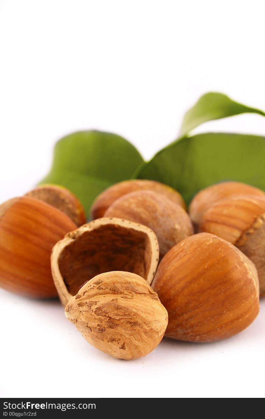 Hazelnuts isolated on white background