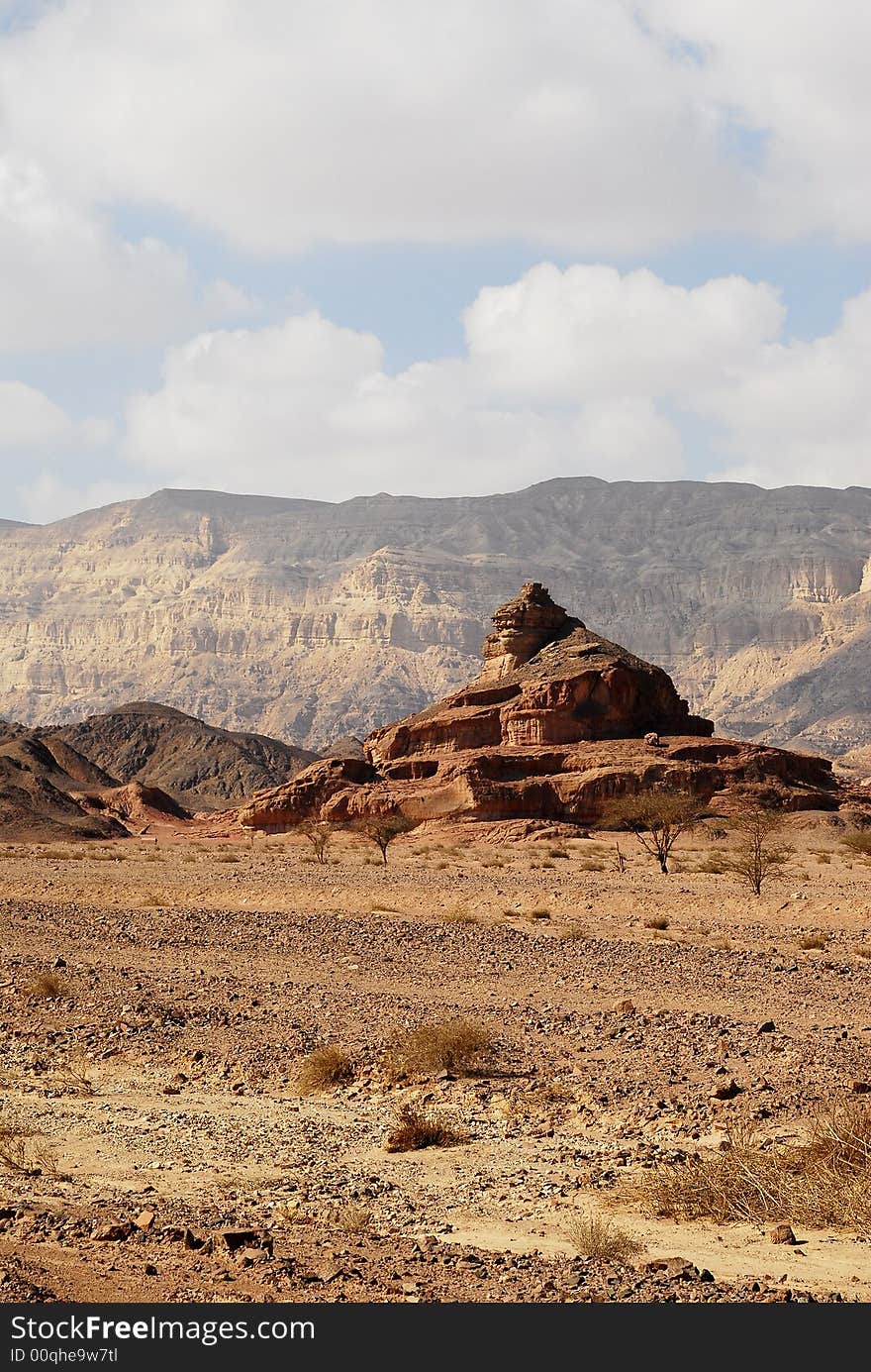 A dry red sand desert