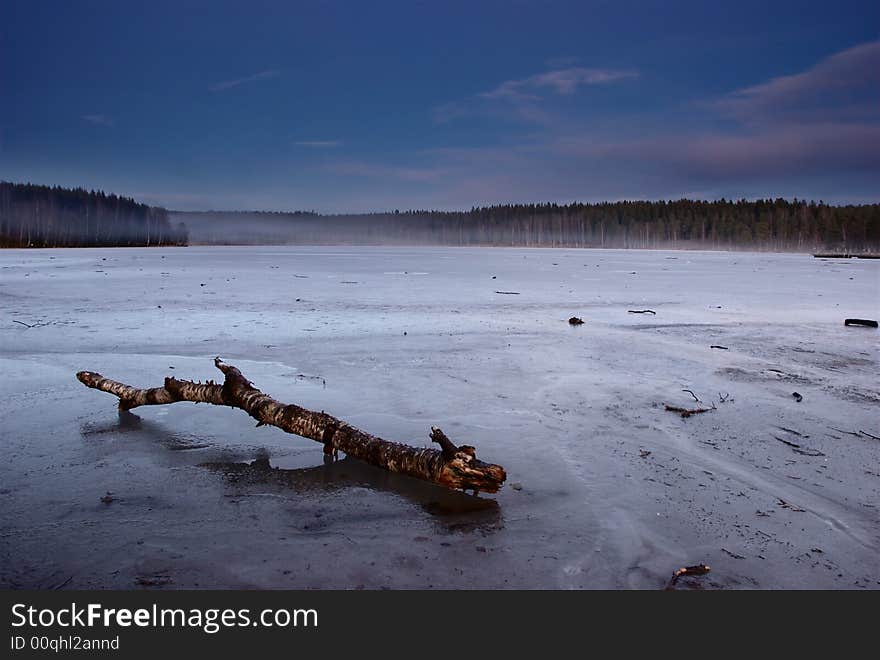 Tree on frozen lake