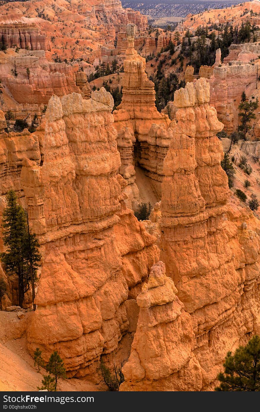 Bryce National Park