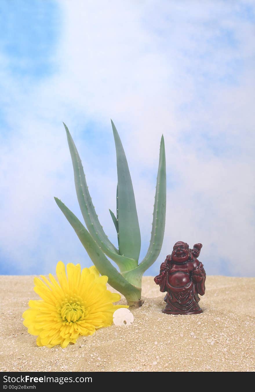 Aloe And Buddha