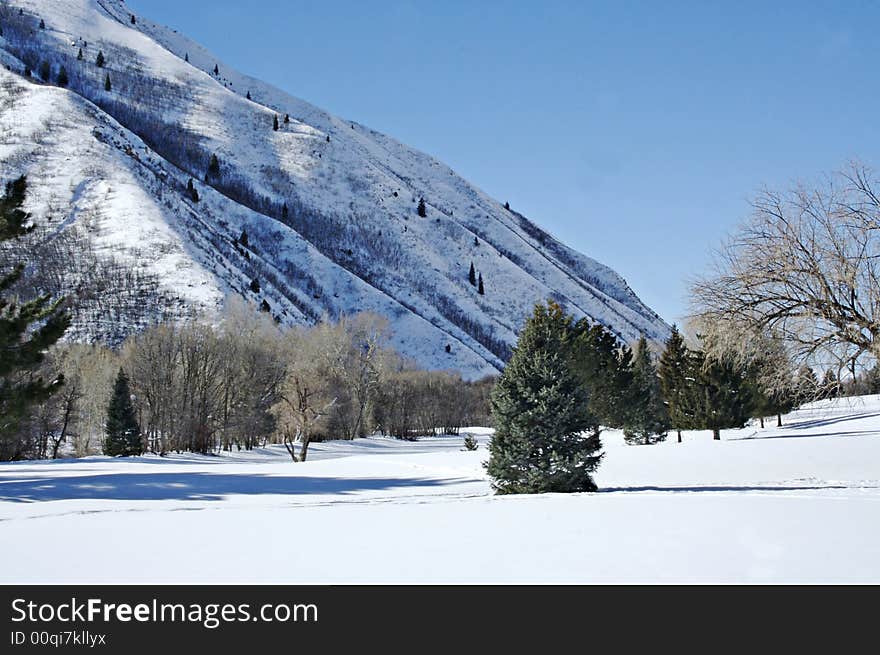 A snowy scene of a winter landscape on a sunny day