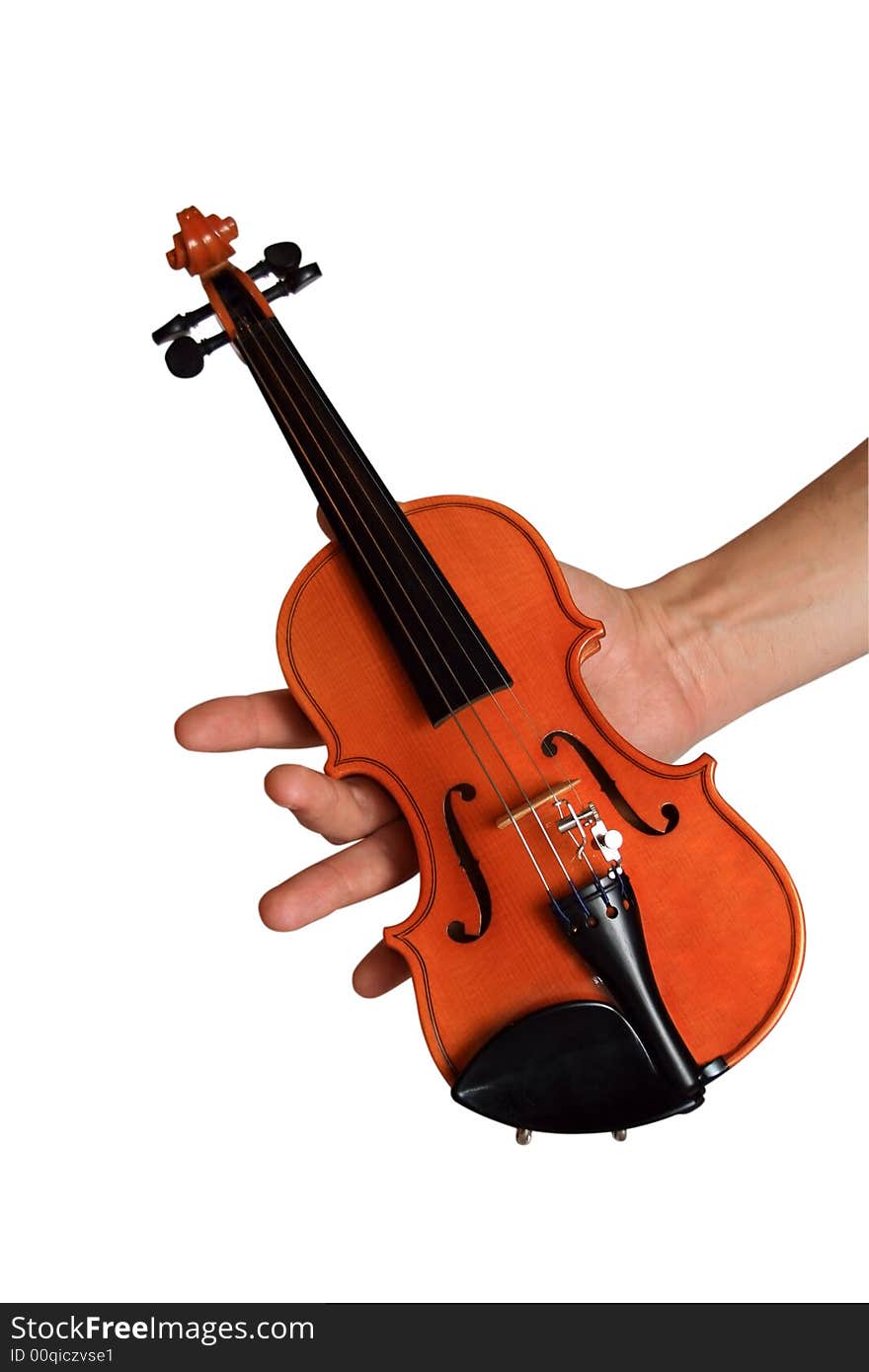 Small violin in a hand. A white background