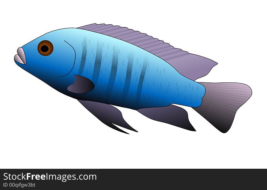 Malawi Fish