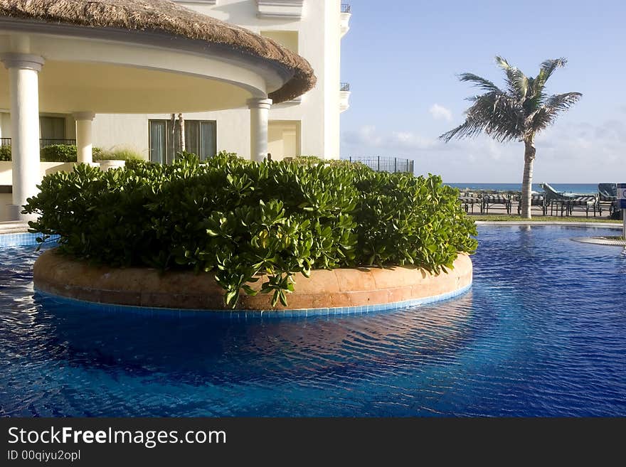 A green planting in the middle of a large lagoon type swimming pool. A green planting in the middle of a large lagoon type swimming pool