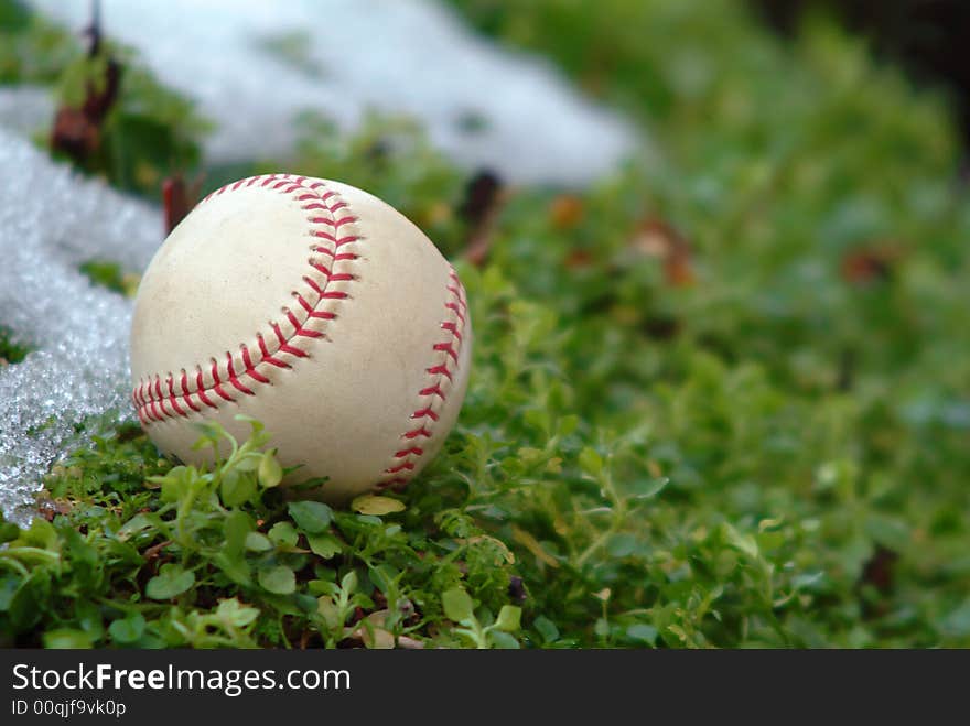 Ball in the grass, in natural environment. Ball in the grass, in natural environment