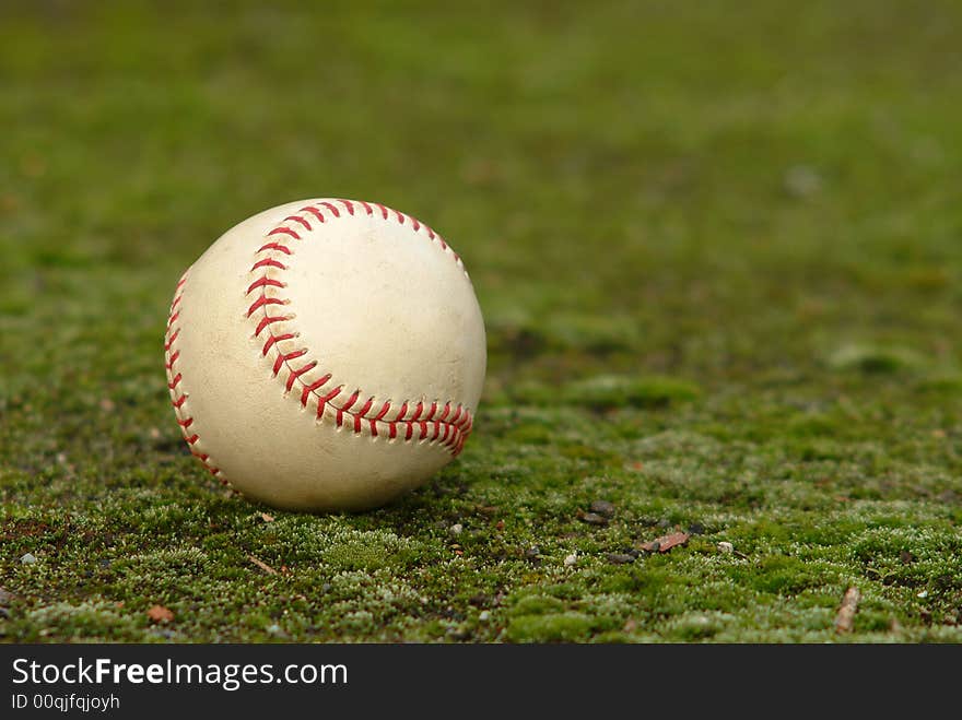 Ball in the grass, in natural environment. Ball in the grass, in natural environment