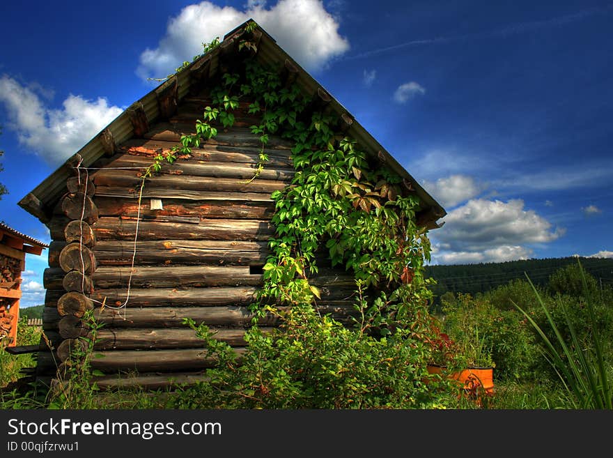 The Russian house in a village a wild grapes on a background of the dark blue sky, the house wooden without windows