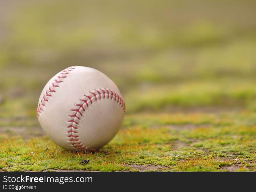 Ball in the grass, in natural environment. Ball in the grass, in natural environment