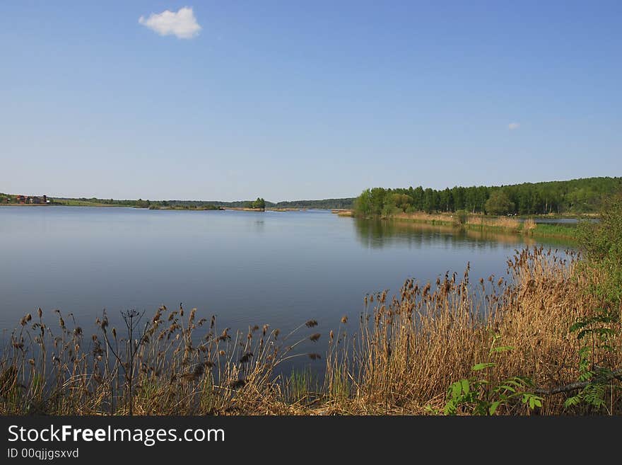 Forest lake