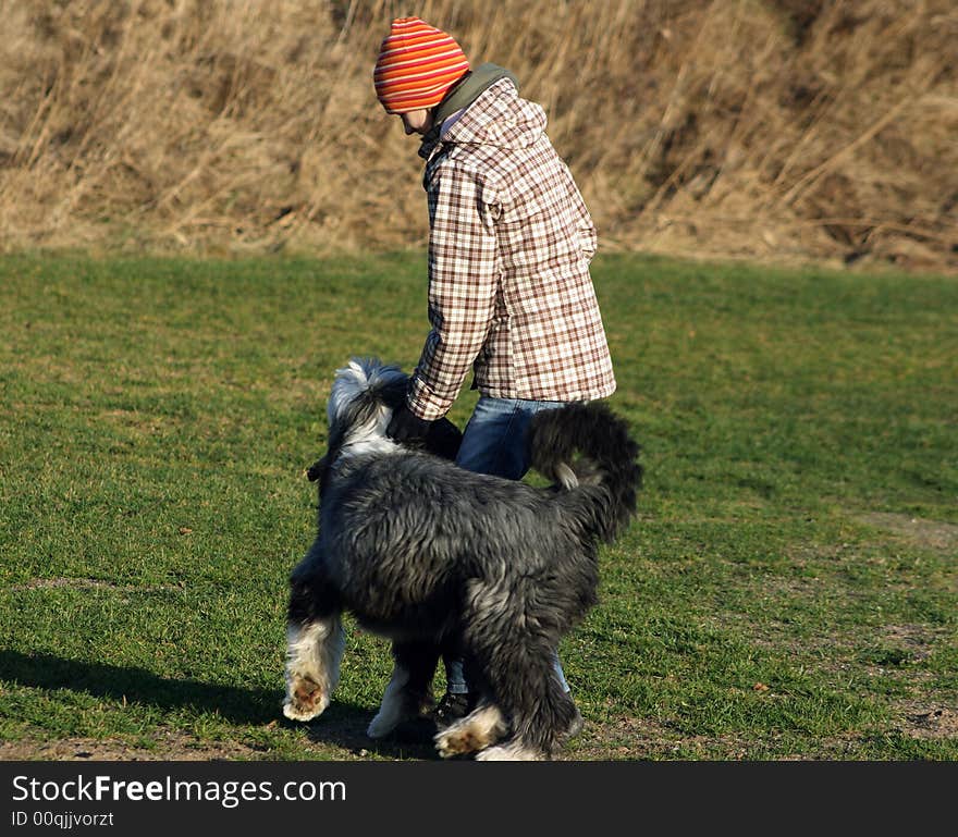 Dog, bearded collie, and girl playing for fun. Dog, bearded collie, and girl playing for fun