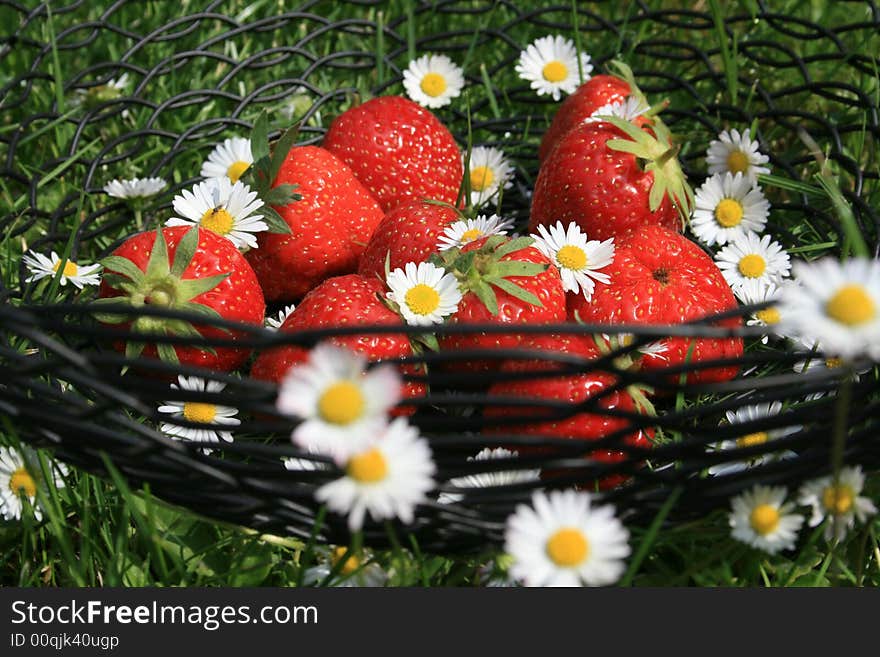 Strawberrys lying in the summer sun. Strawberrys lying in the summer sun